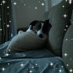 Meet your Posher, Joanne